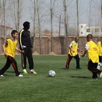 Beginner Training